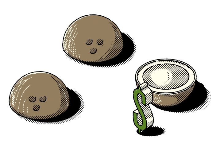 Coconuts tax haven illustration