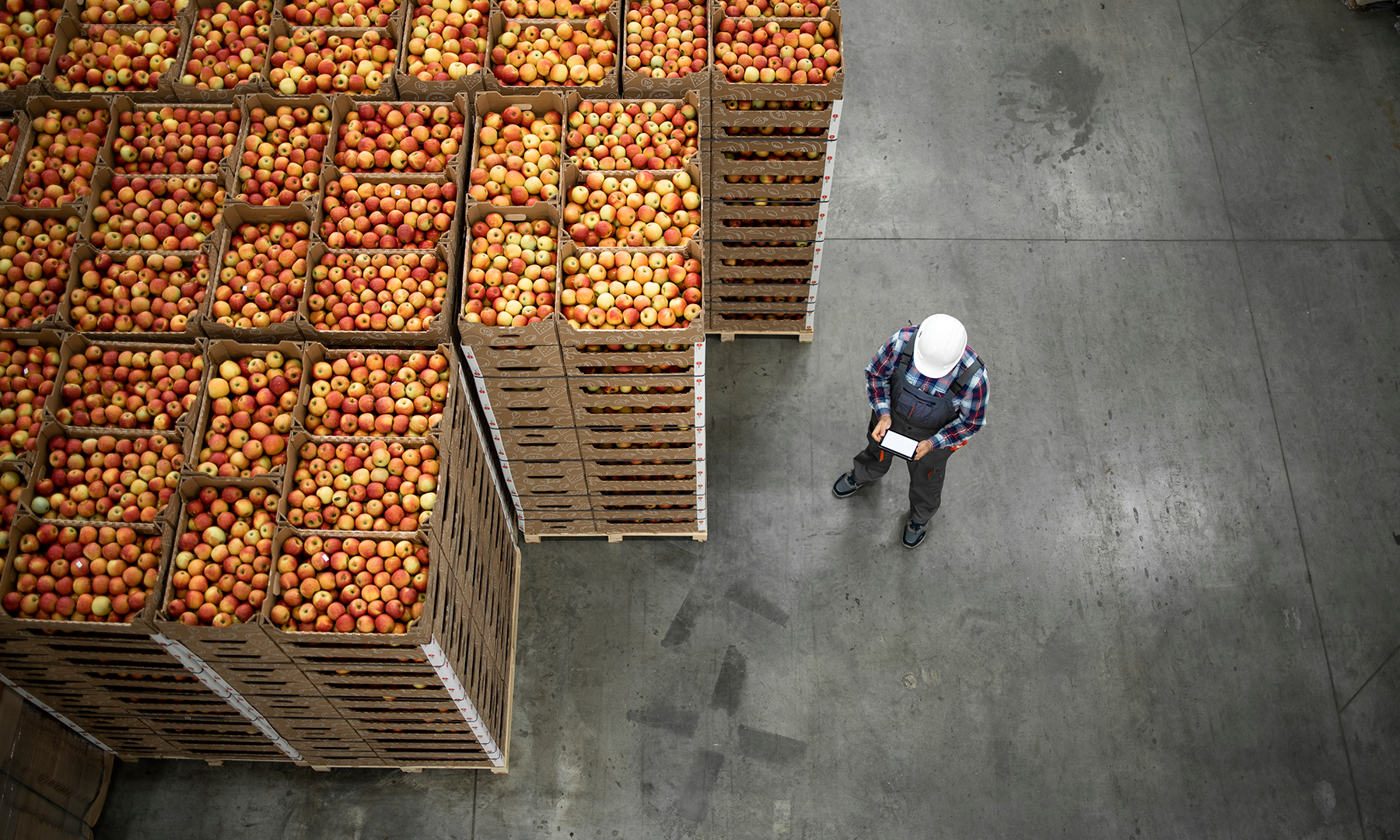 Aerial view of piles of crates of apples and a worker next to them