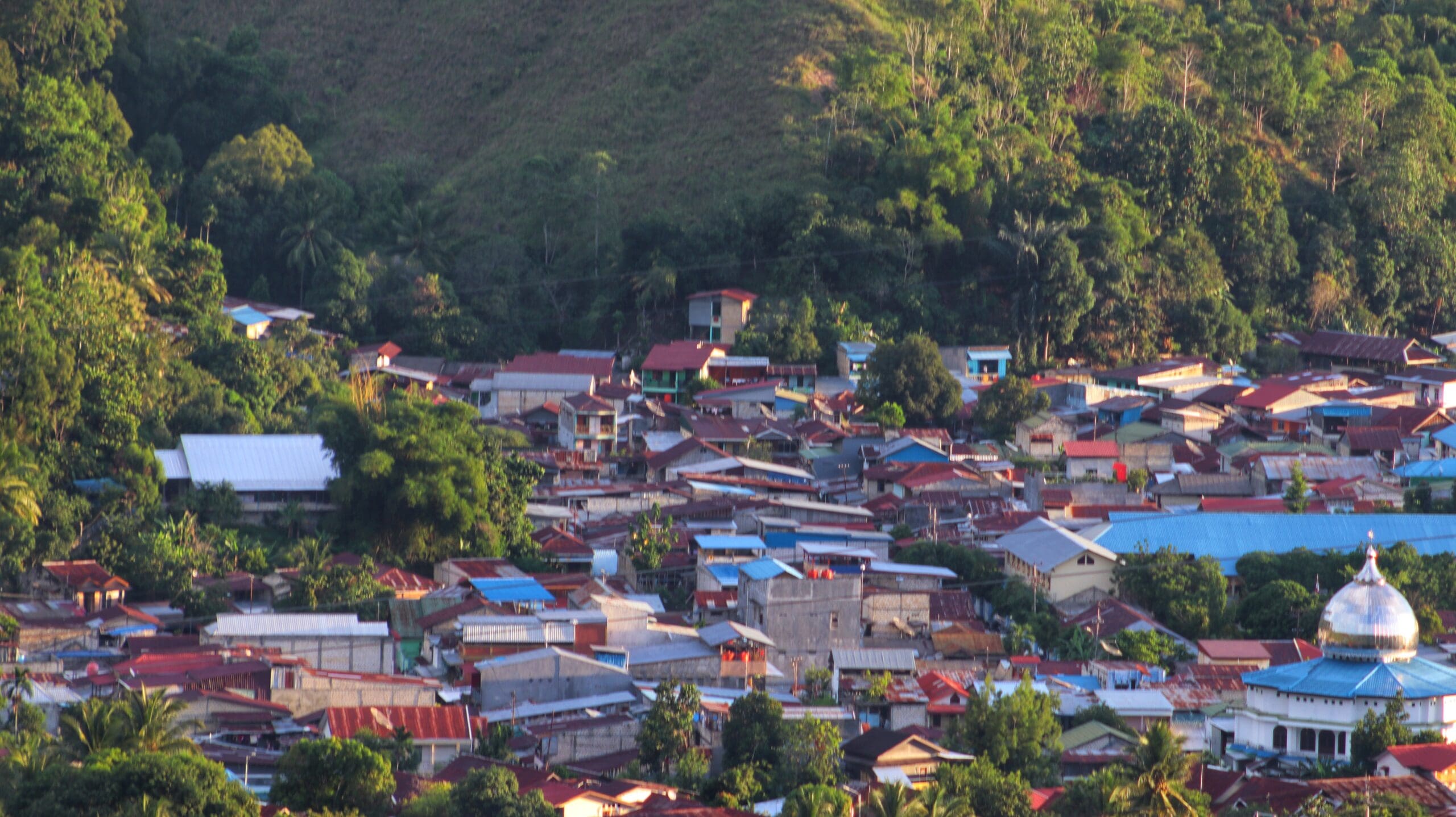 the beautiful buildings and mountains of the city of Waena look beautiful from a distance.